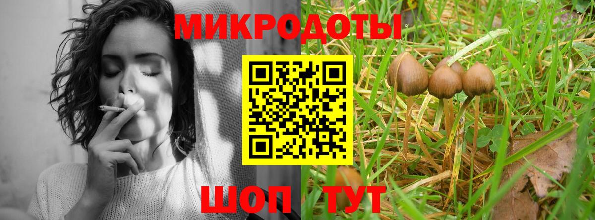 Псилоцибиновые грибы Cubensis Зеленодольск